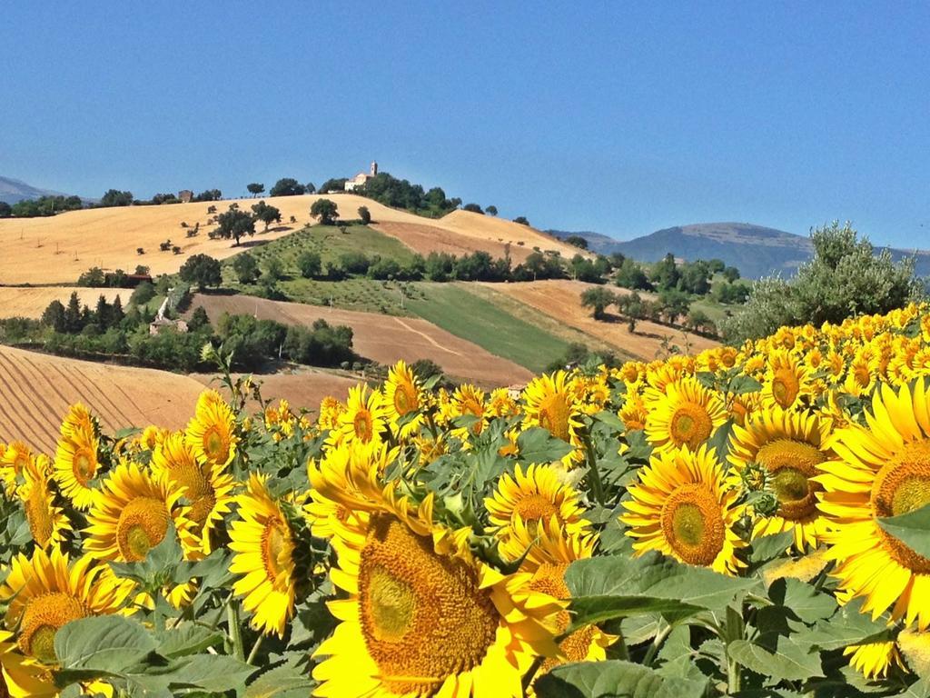 Casale Delle Rondini Bed & Breakfast Tolentino Exterior photo