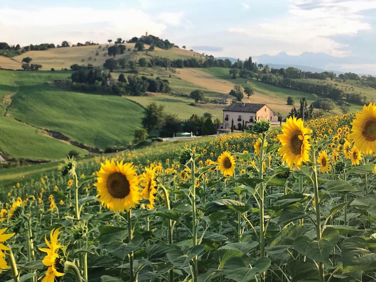 Casale Delle Rondini Bed & Breakfast Tolentino Exterior photo